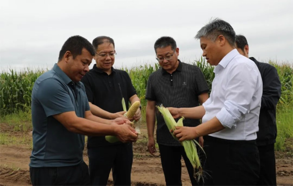 中(zhōng)國(guó)農發集團總會計師周悅剛赴牡丹江馬場調研指導工作(zuò)